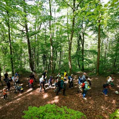 Animations au Plateau de Malzéville