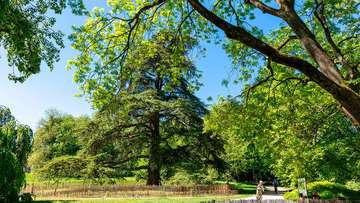 Parc de Remicourt © Khaled Frikha