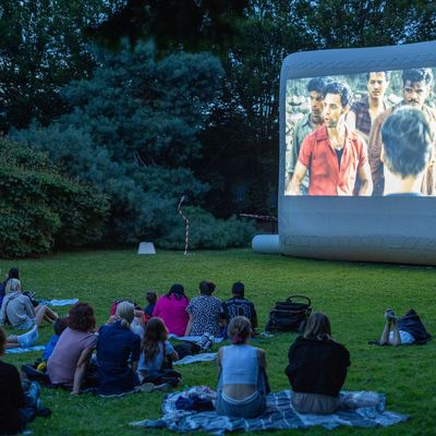 Cinéma en plein air