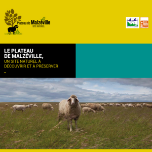 Animations au Plateau de Malzéville