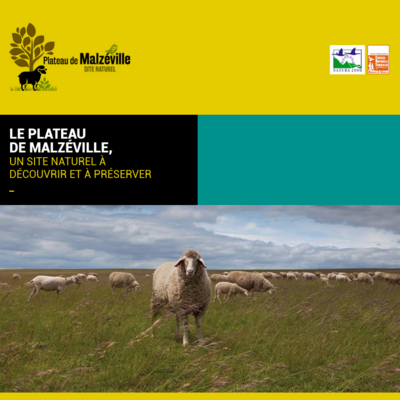 Animations au Plateau de Malzéville