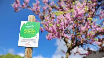 Campagne de sensibilisation en faveur de la protection des arbres