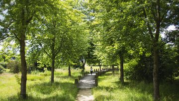 Parc des étangs à Saulxures-lès-Nancy