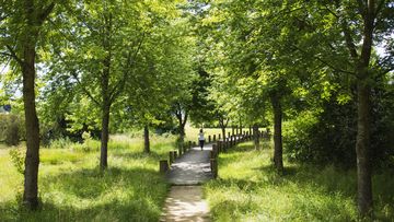 Parc des étangs