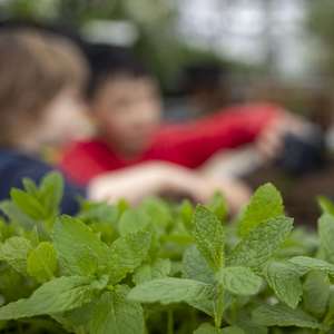 Projet national Villegarden