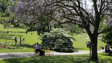 Jardin botanique Jean-Marie Pelt à Villers-lès-Nancy