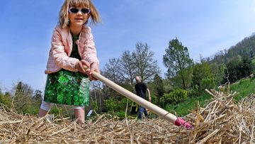 Opter pour le paillage