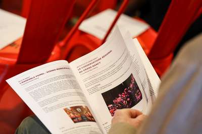 Programmation culturelle 2026