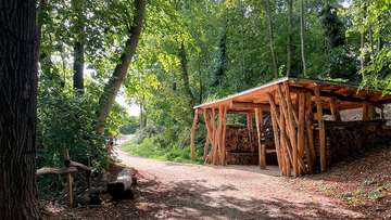 Bois de Libremont © S. Clesse