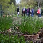 Futur grand parc à « La Station Jardin »