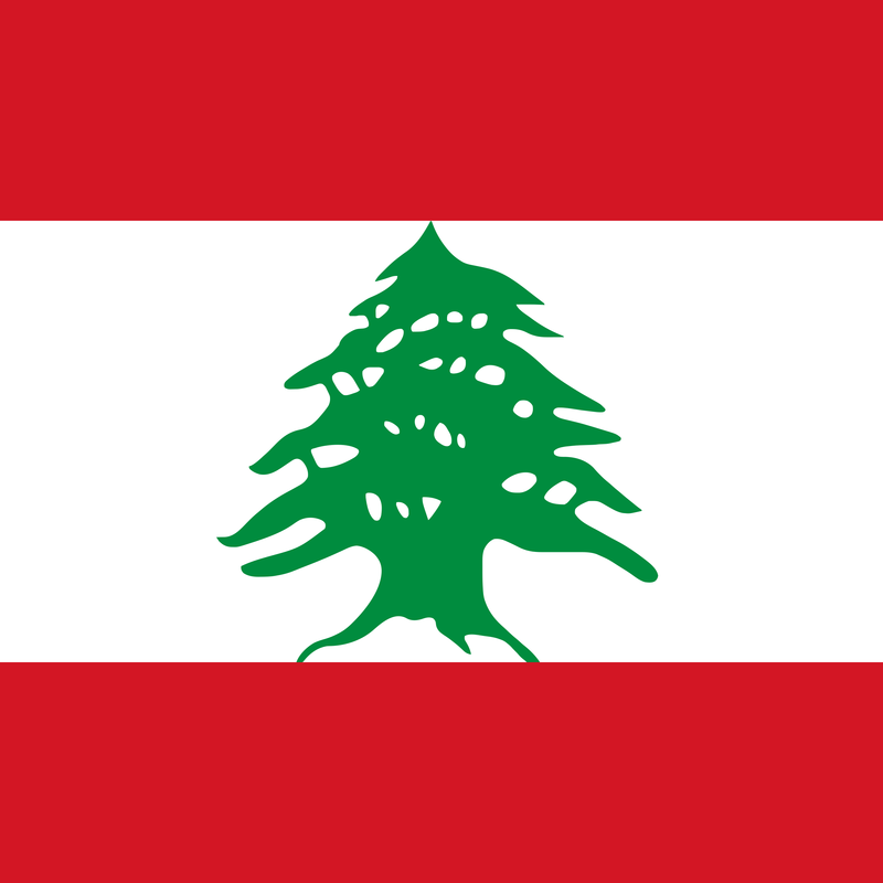Le Liban face à une crise humanitaire majeure : la Métropole apporte son soutien