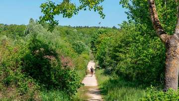 Parc Forestier © Khaled Frikha